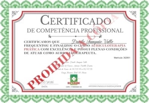 Certificado Curso Auriculoterapia Prática