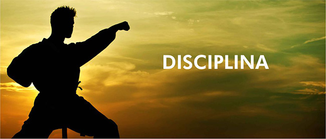 O que é disciplina